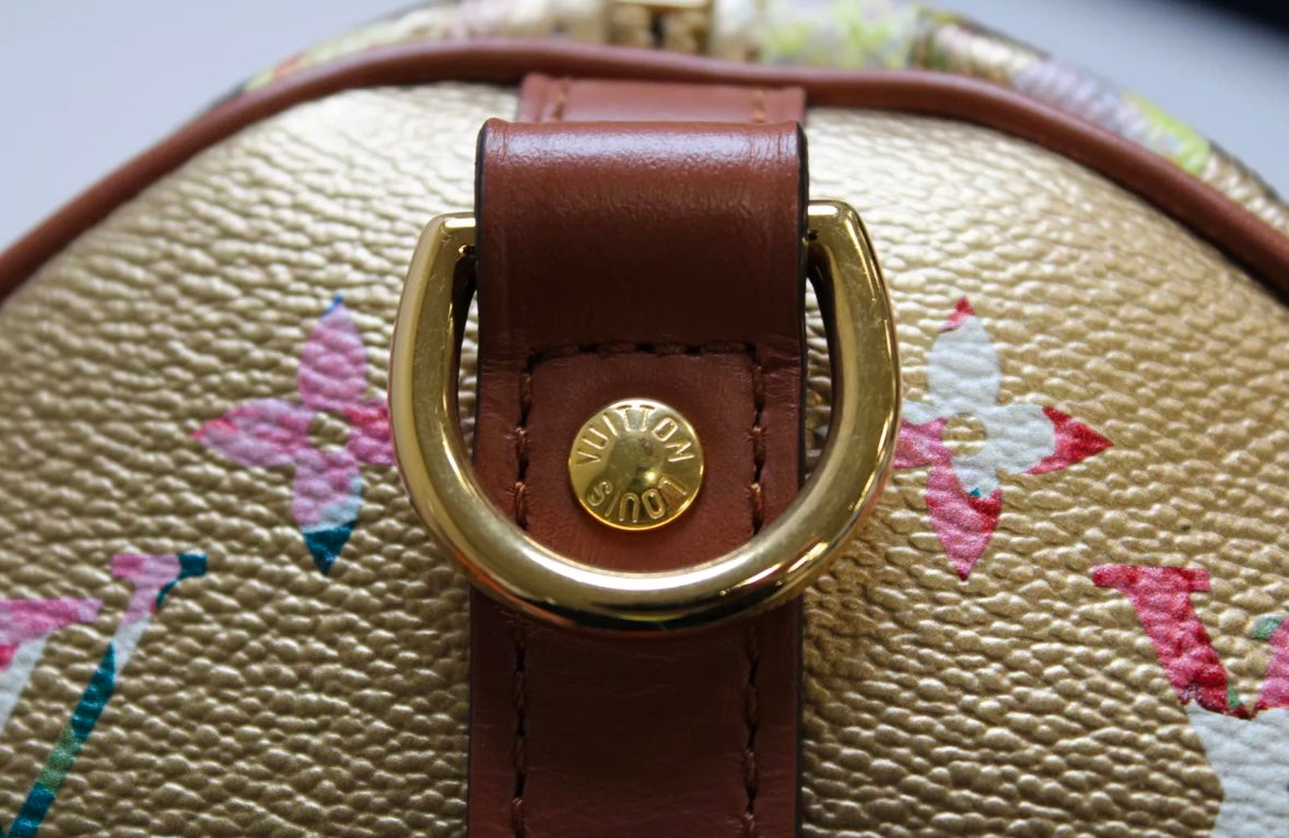 Louis Vuitton Garden (Buttercup) Speedy Bandoulière 25 (Made in France) - Excellent Used Condition